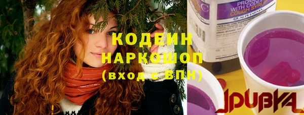 хмурый Щучье