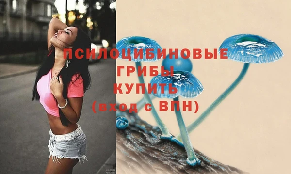 хмурый Щучье
